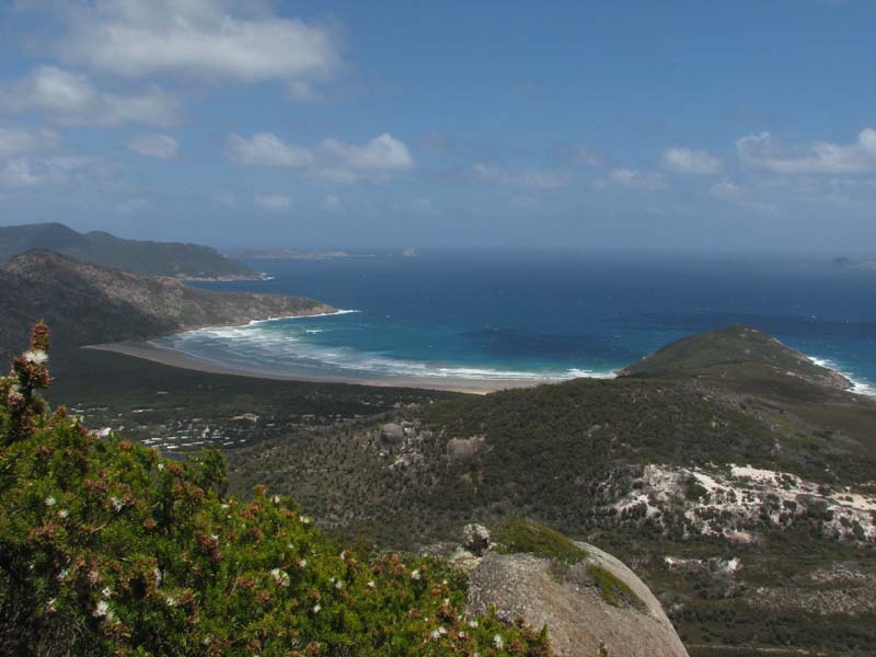 Norman Bay